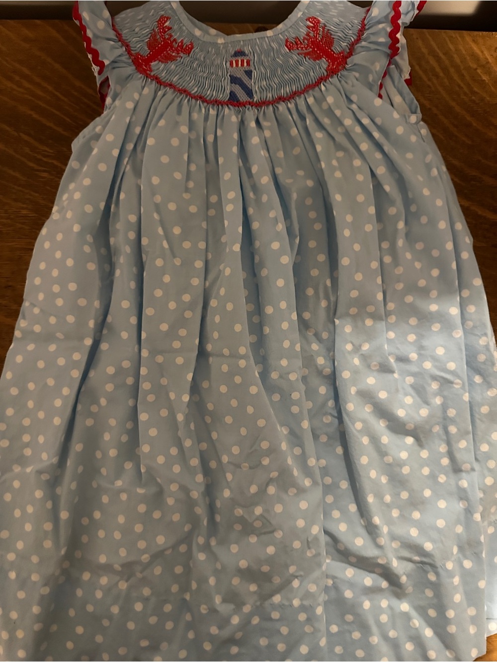 Light Blue Polka Dot Smocked Dress with Red Embroidery
